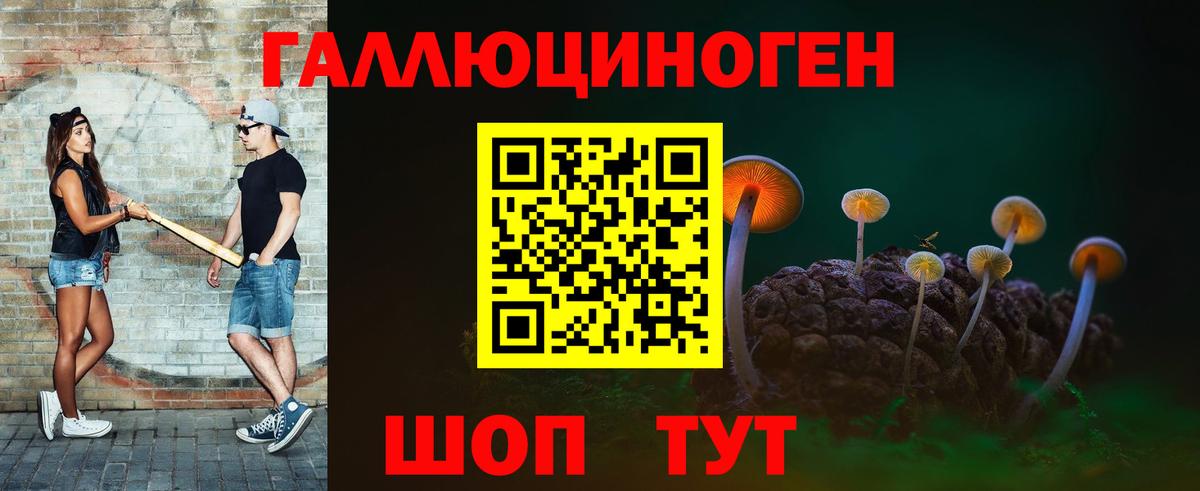 Усолье-Сибирское  Псилоцибиновые грибы Psilocybine cubensis  Вход с VPN 